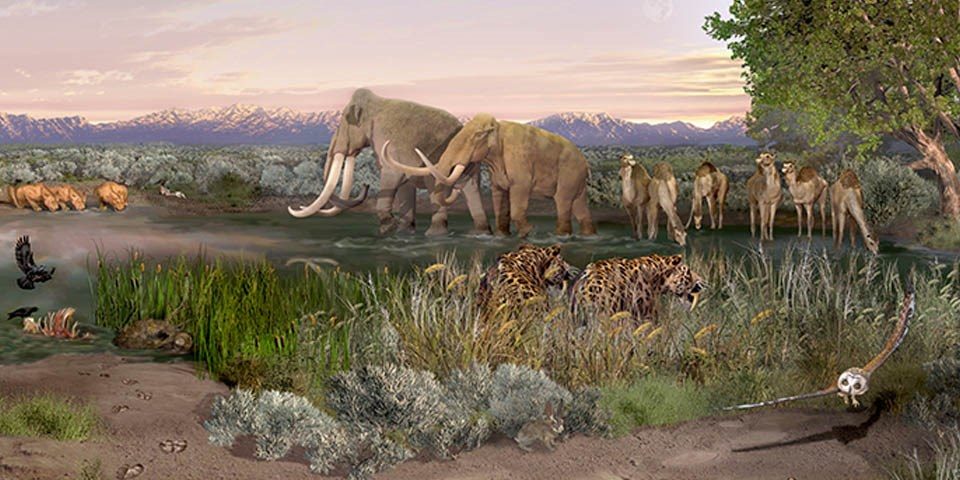 Era glaciale ecosistema