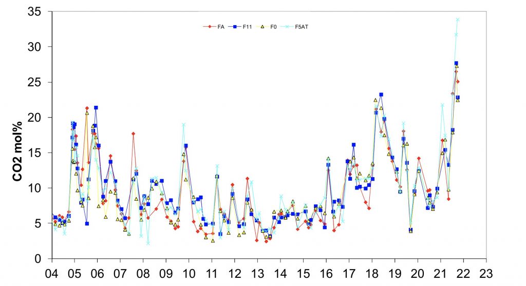 gas fumarolici CO2 vulcano