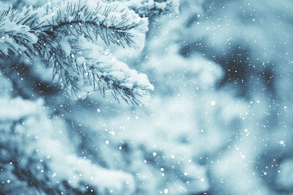 neve