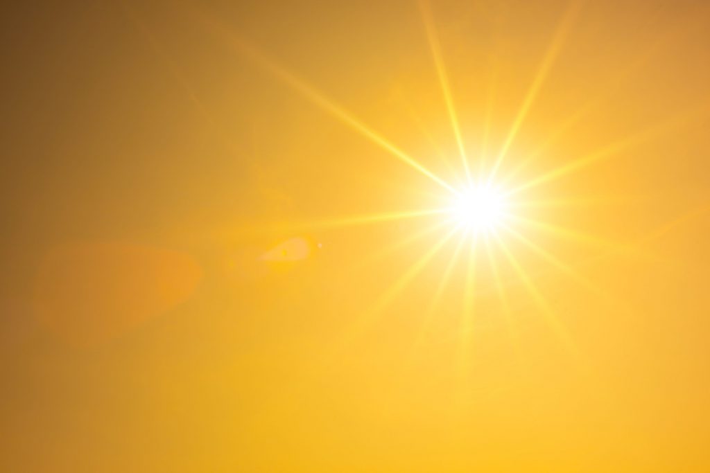 sole