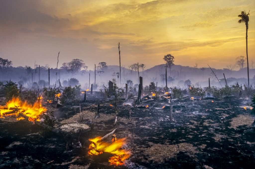 Deforestazione-Amazzonia