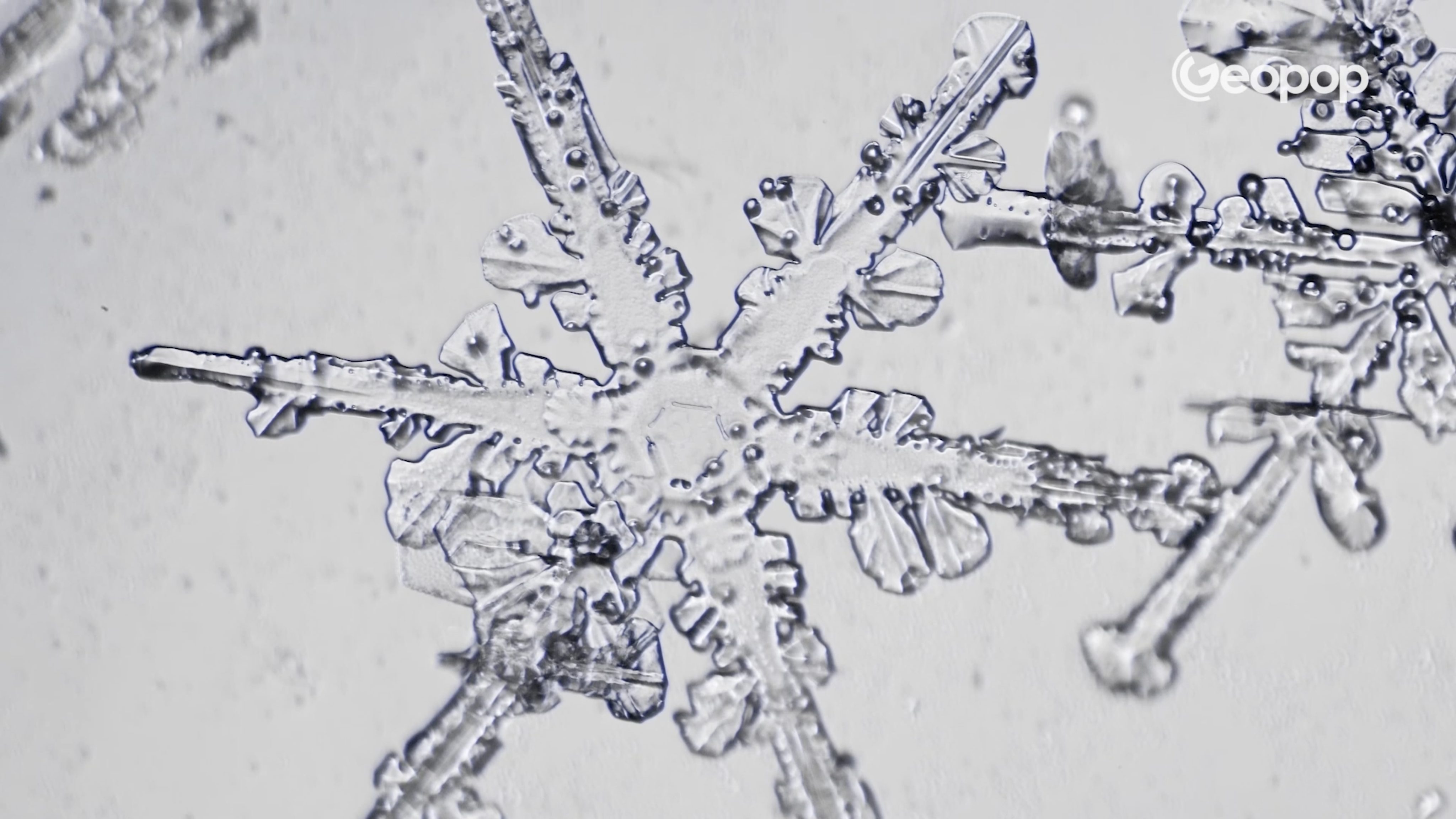 Fiocchi neve sintetica