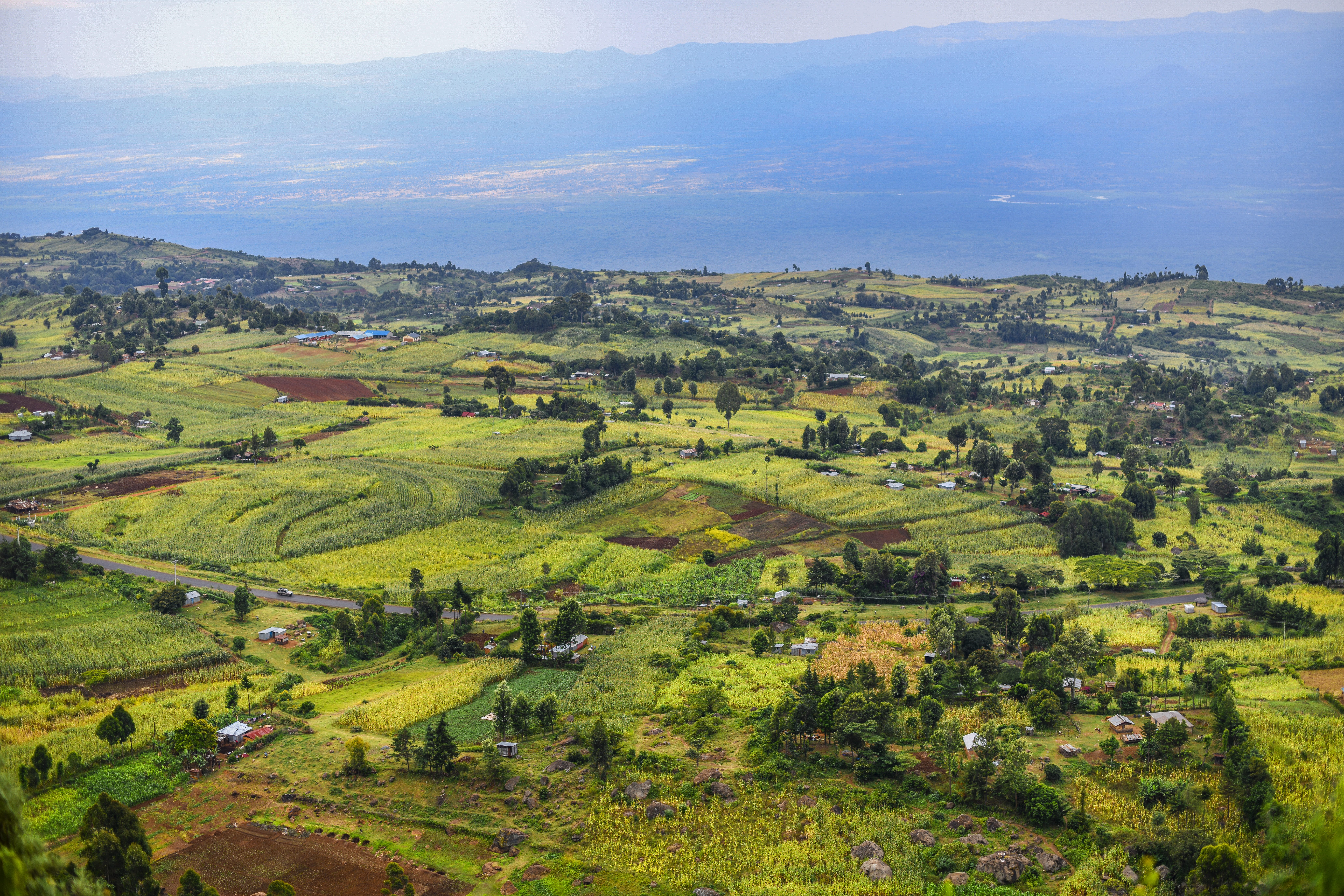 Rift valley panorama