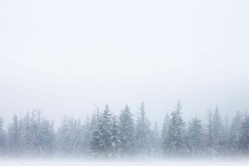 nebbia congelata