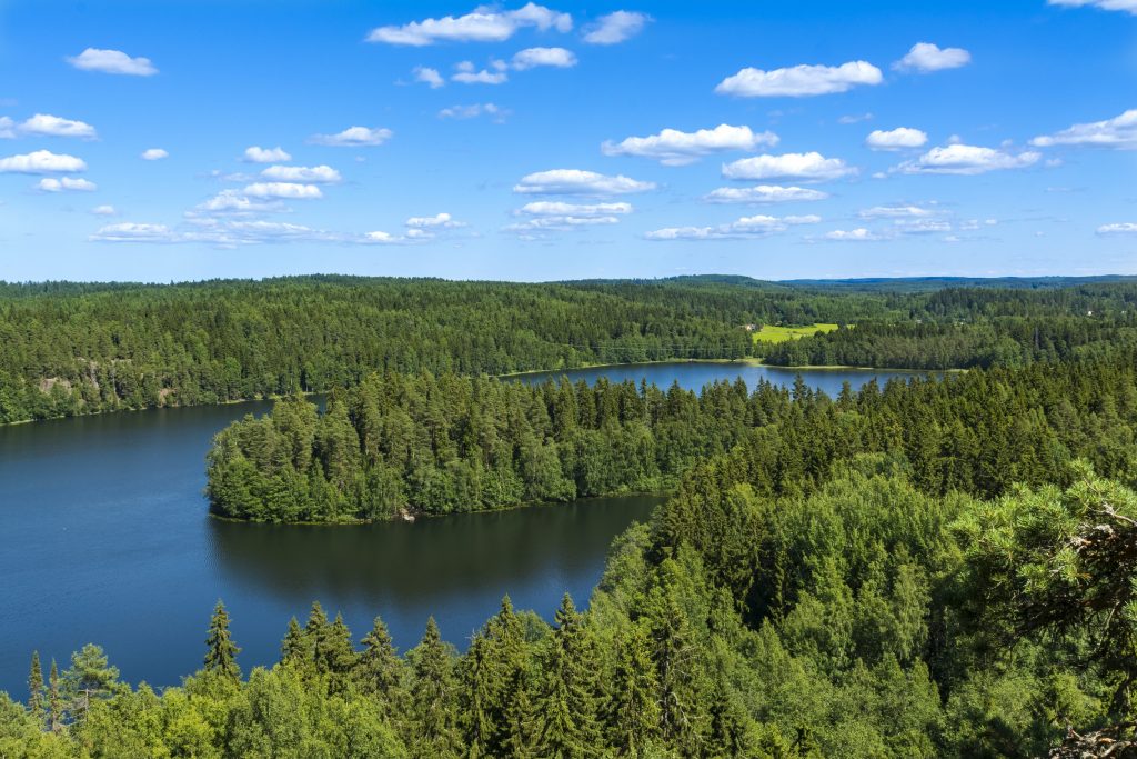 Foresta-boreale-taiga