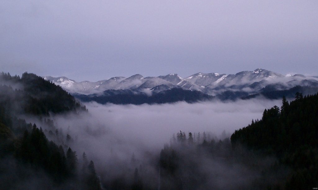 nebbia montana