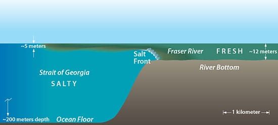 credit: Woods Hole Oceanographic Institution.