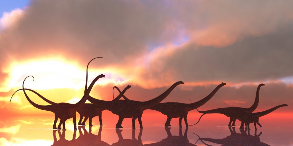 doplodocus