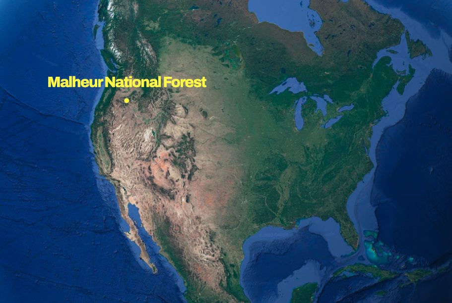 Malheur National Forest