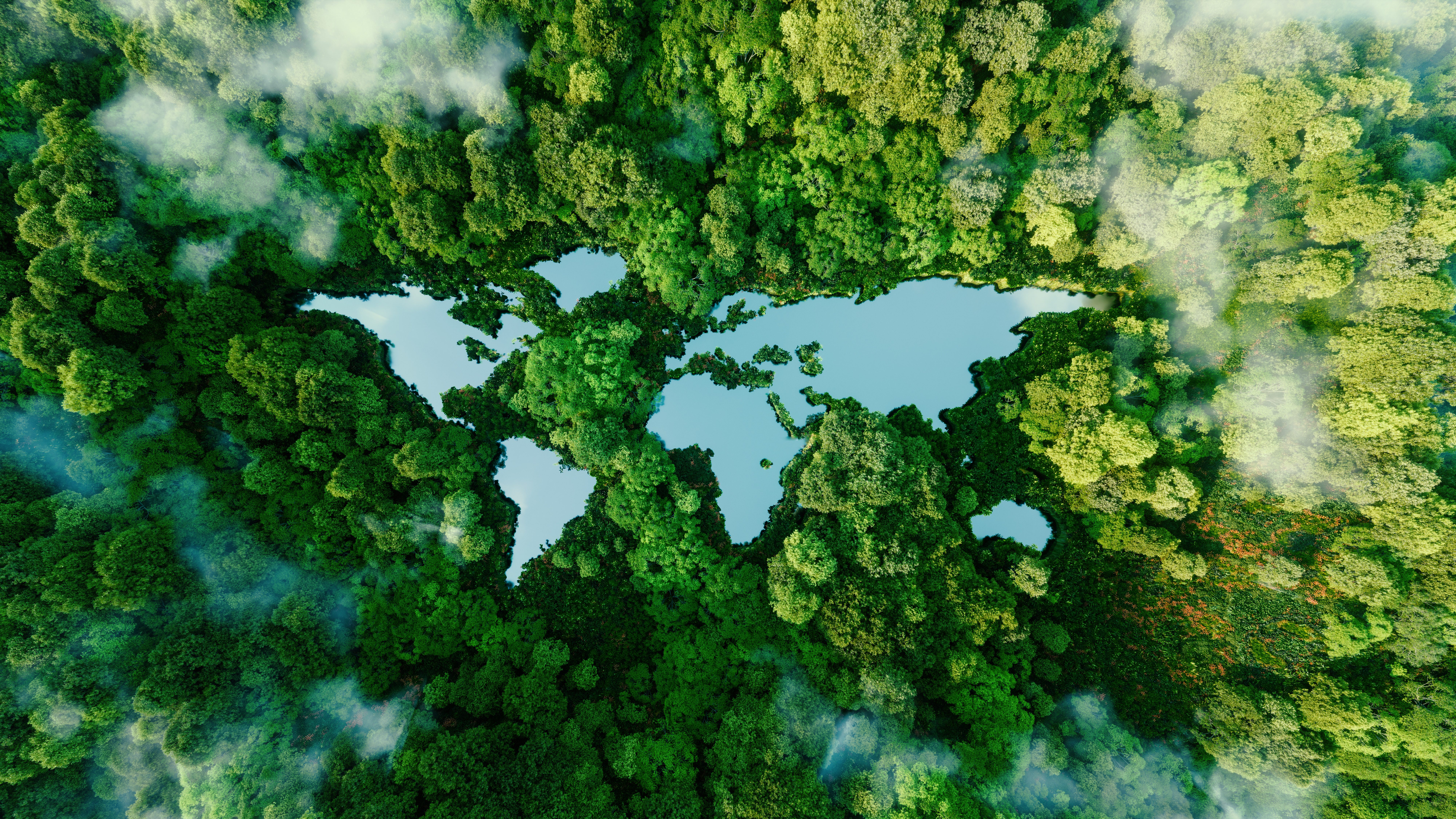 foreste mondo