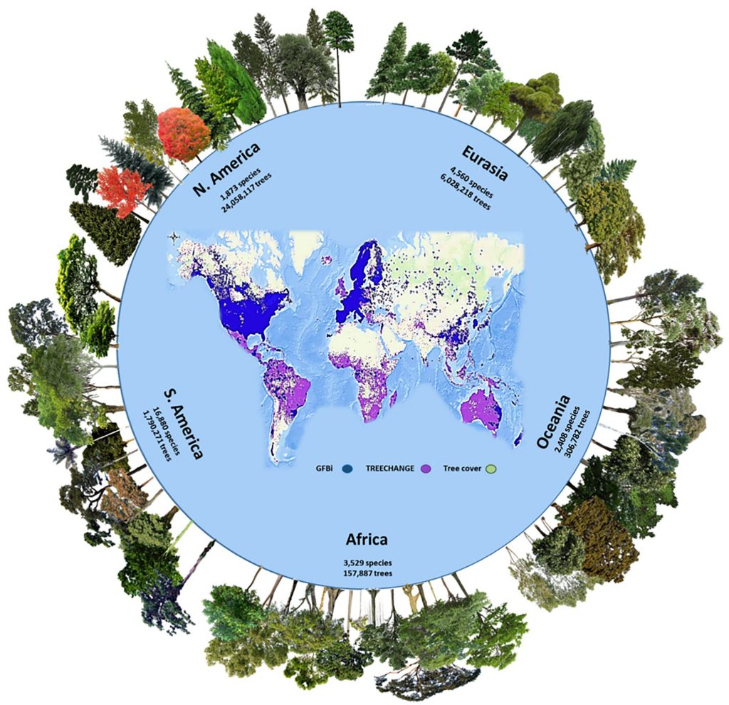 Numero di specie arboree e individui per continente. Le aree verdi rappresentano la copertura arborea globale. (Credit: Cazzolla Gatti, 2022)