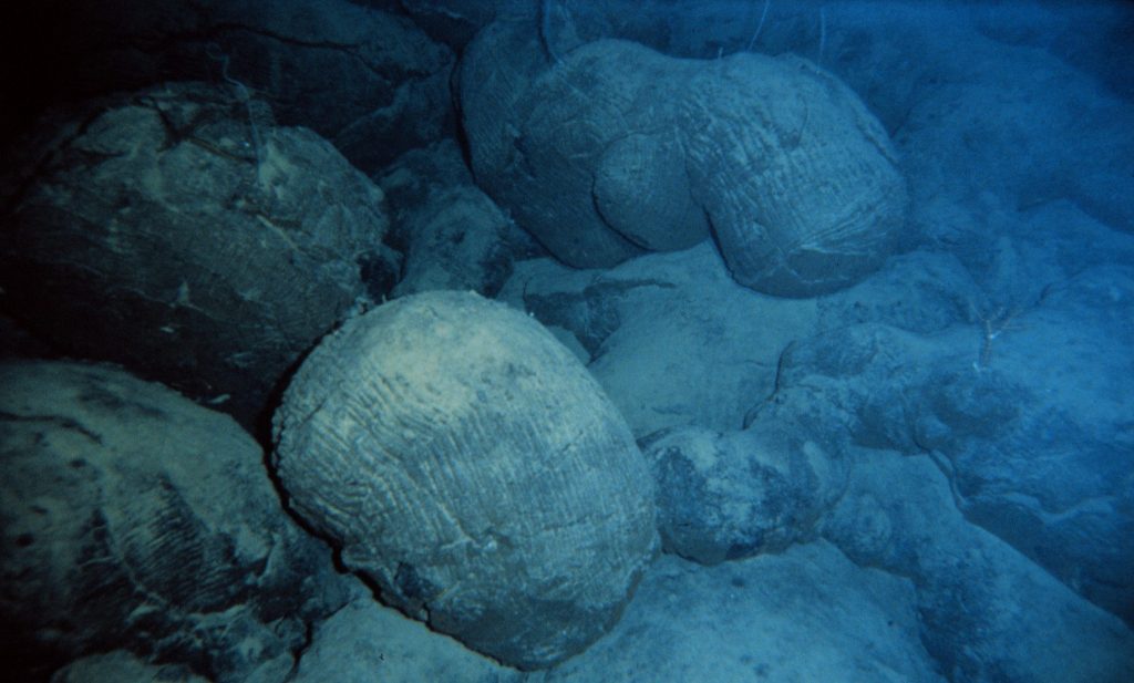 lava cuscino