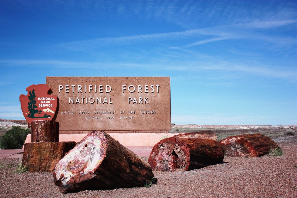 parco nazionale della foresta pietrificata