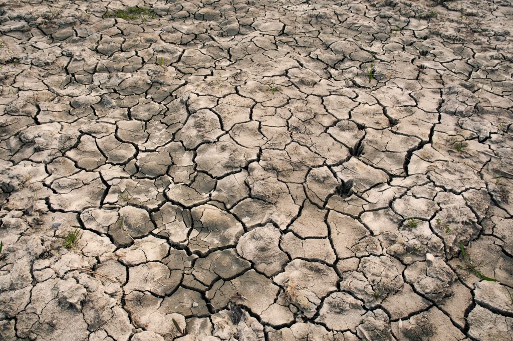 Desertificazione