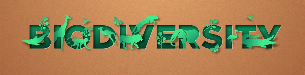 biodiversità