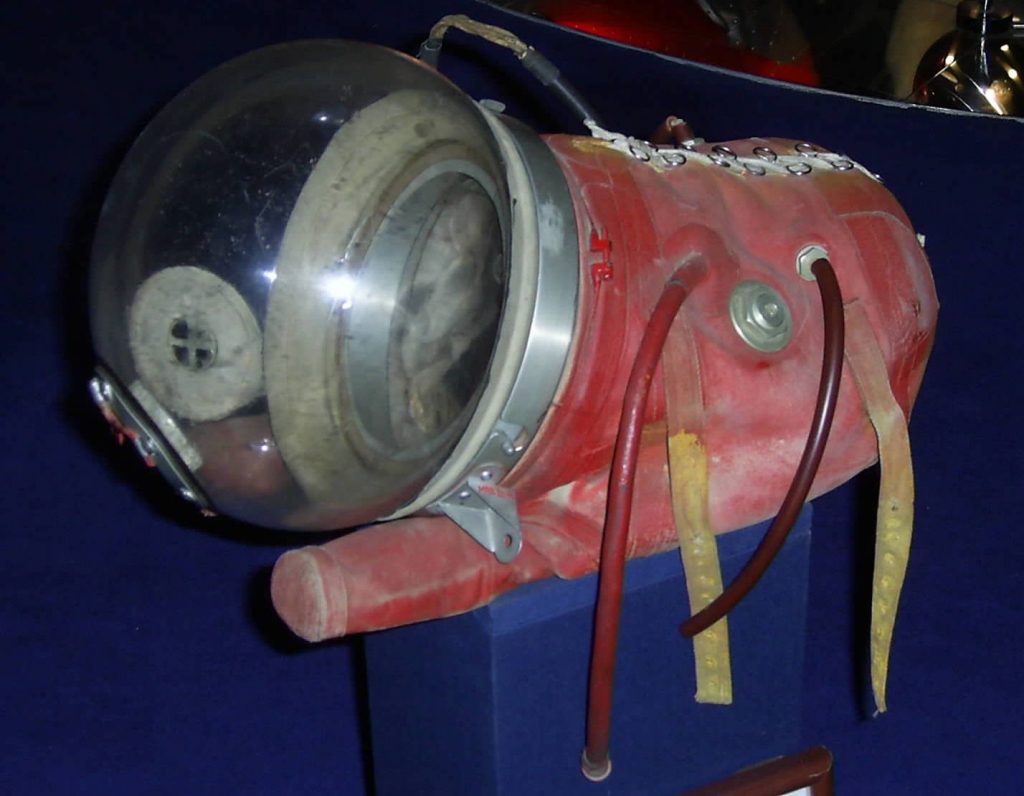 tuta spaziale laika
