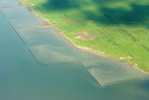 Polder – Martina Nolte
