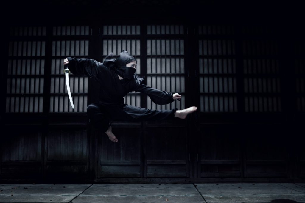 Ninja giapponesi