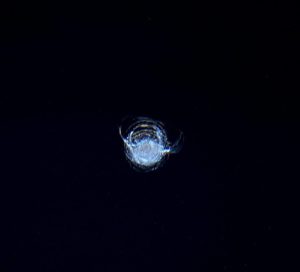 Danneggiamento sulla cupola della ISS
