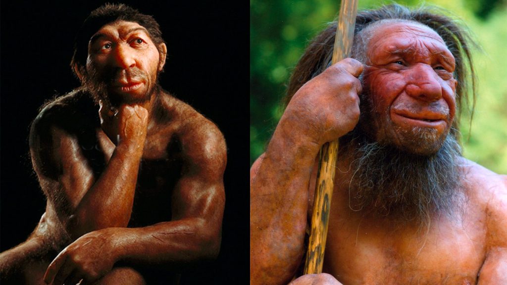 Homo_di_Neanderthal_due_ricostruzioni