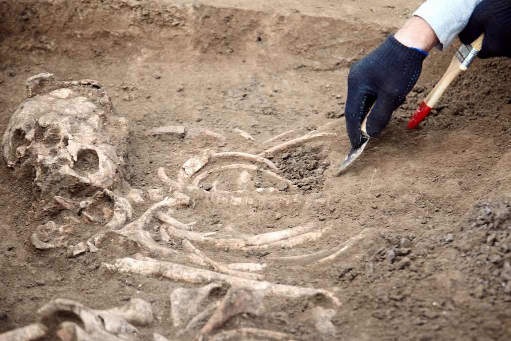 scavi_paleontologi_acheologi