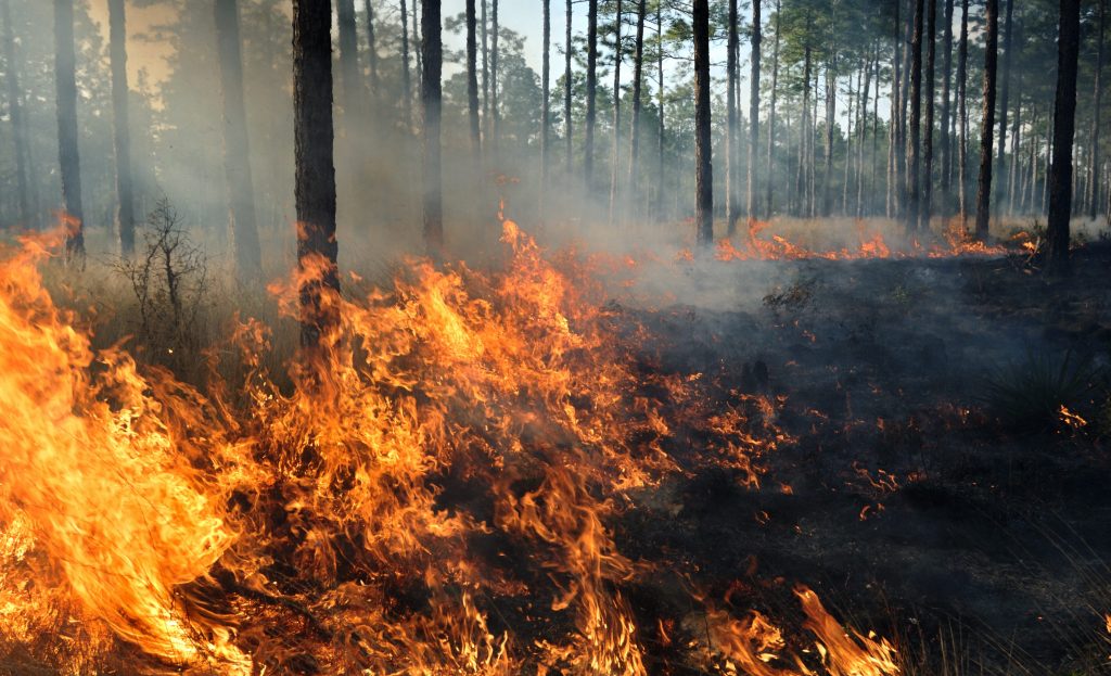 incendi