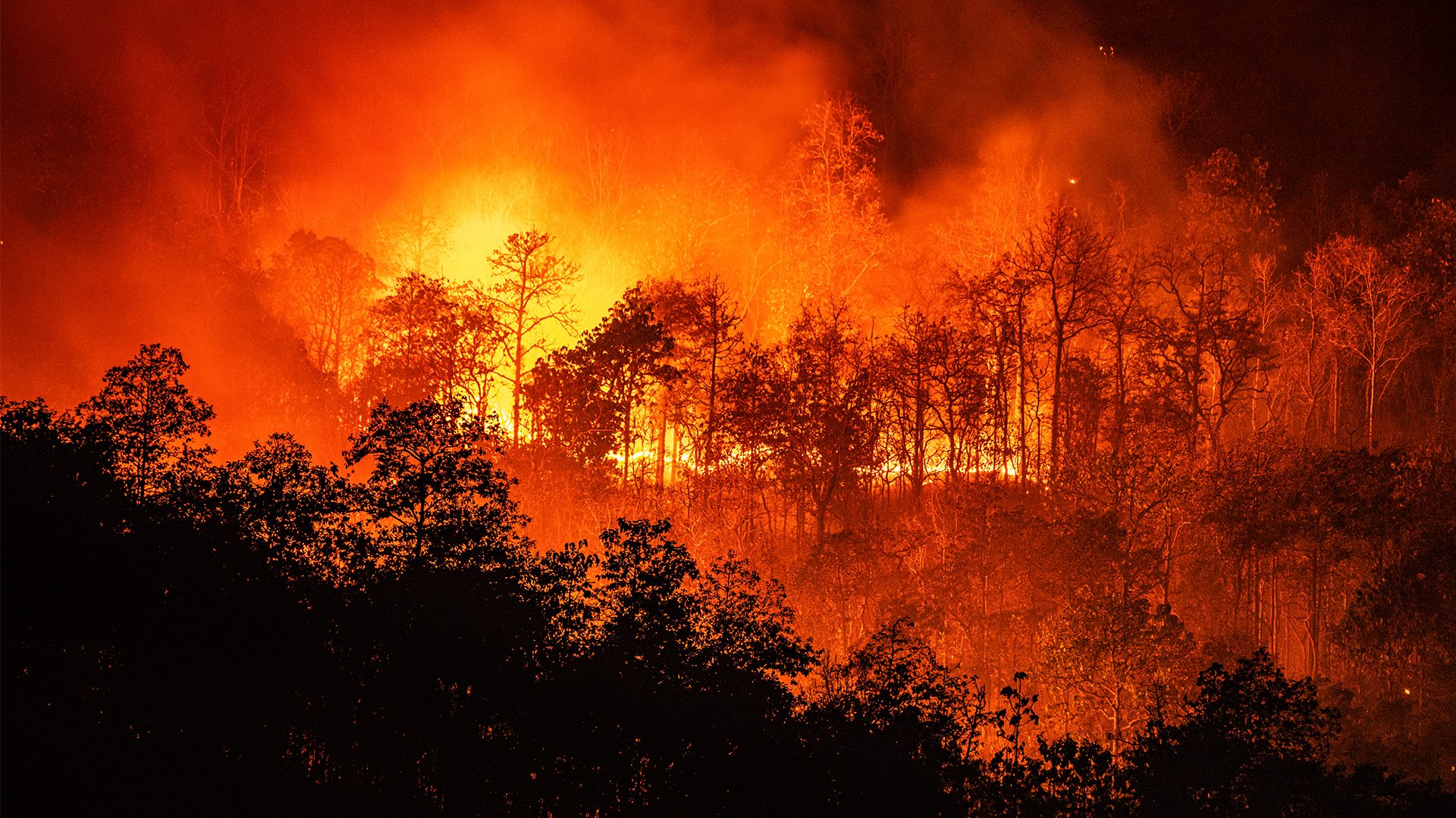 incendi 2022