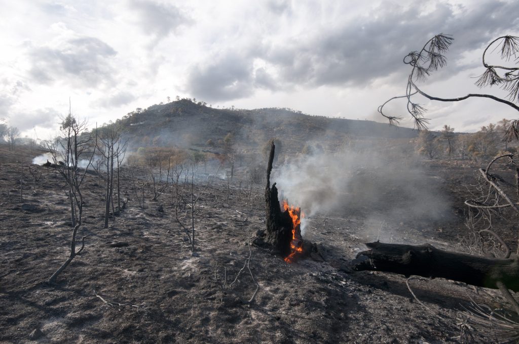 post incendio