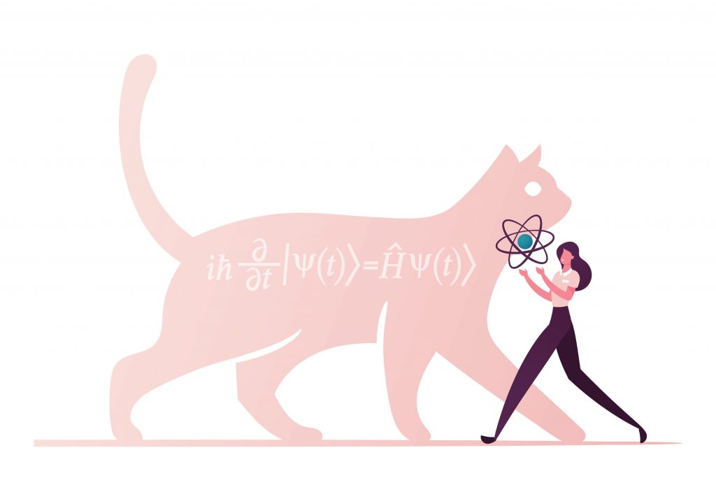 equazione_donda_gatto_di_schrodinger