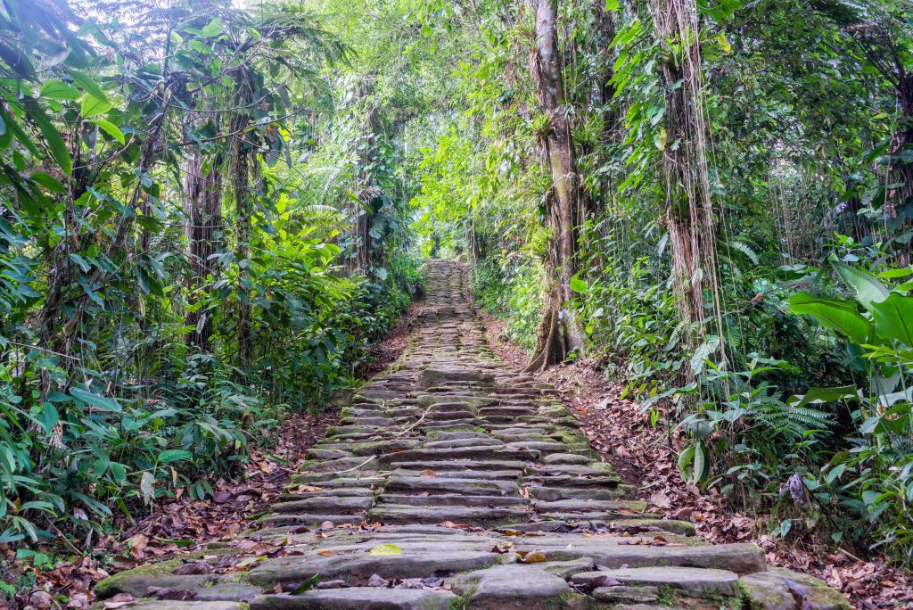 Trekking Teyuna Ciudad Perdida